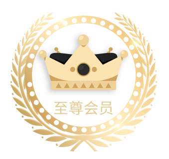 至尊VIP永久169元