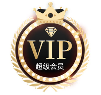 超级VIP限时219元