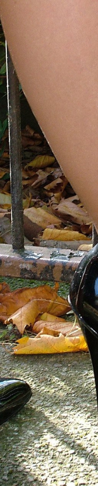 [StilettoGirl] Iona set 1138 her lovely shoes - jpsn.com